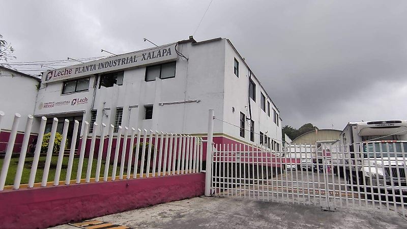 Productores de leche